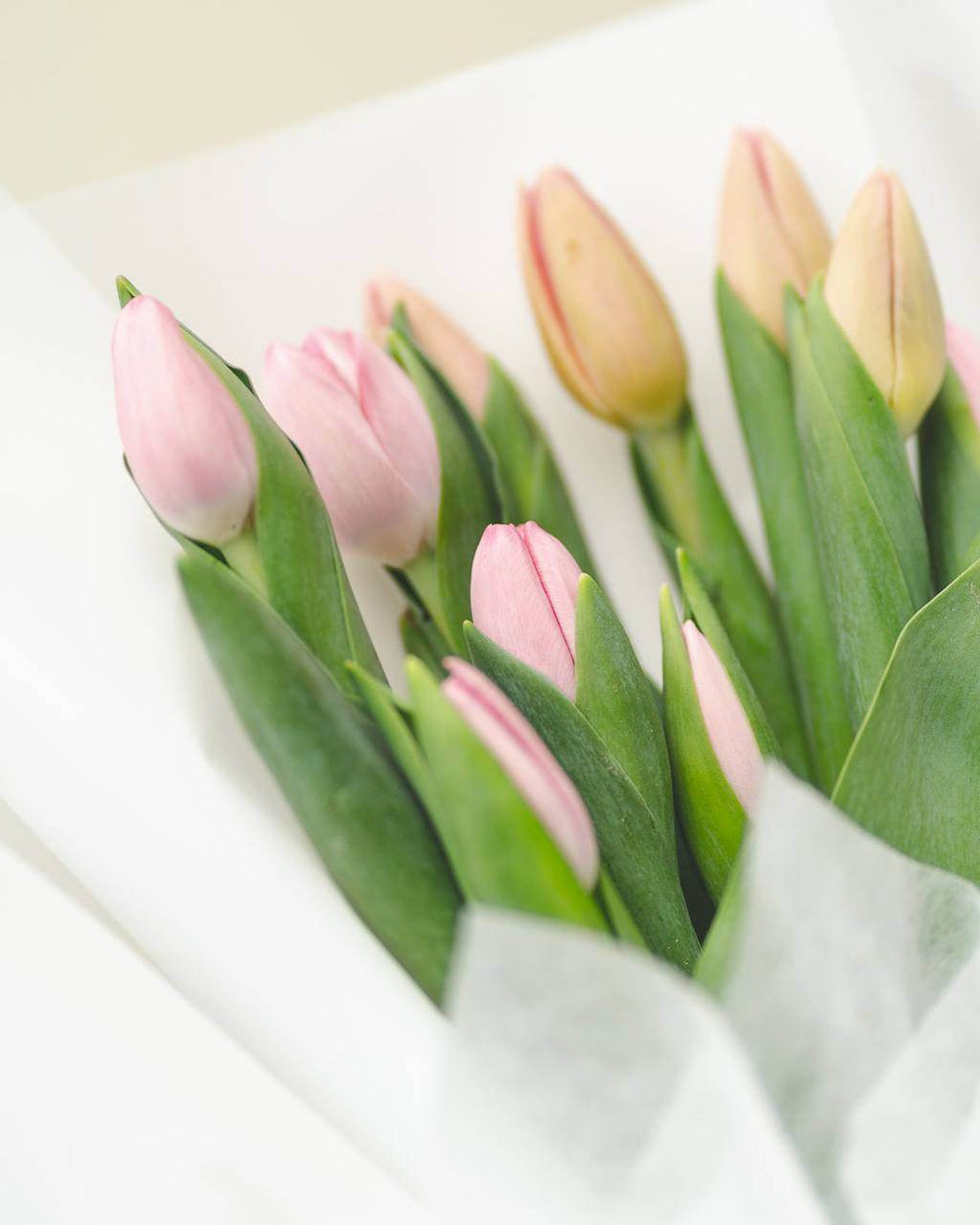 Encanto de Tulipanes - Frodia Flowers