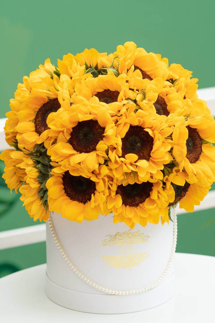 Jardin Primaveral - Frodia Flowers