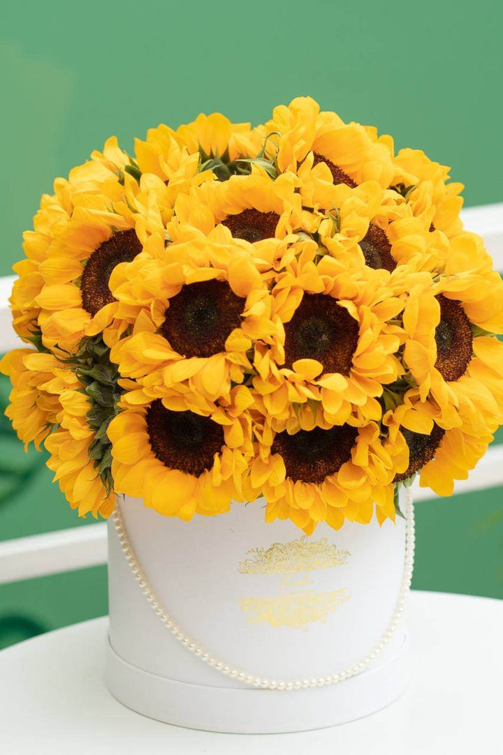 Jardin Primaveral - Frodia Flowers