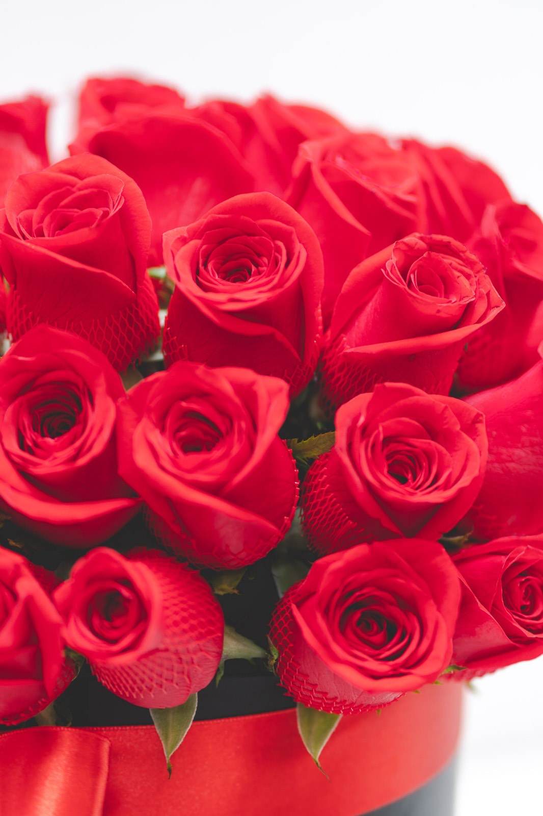 Elegancia Floral - Frodia Flowers