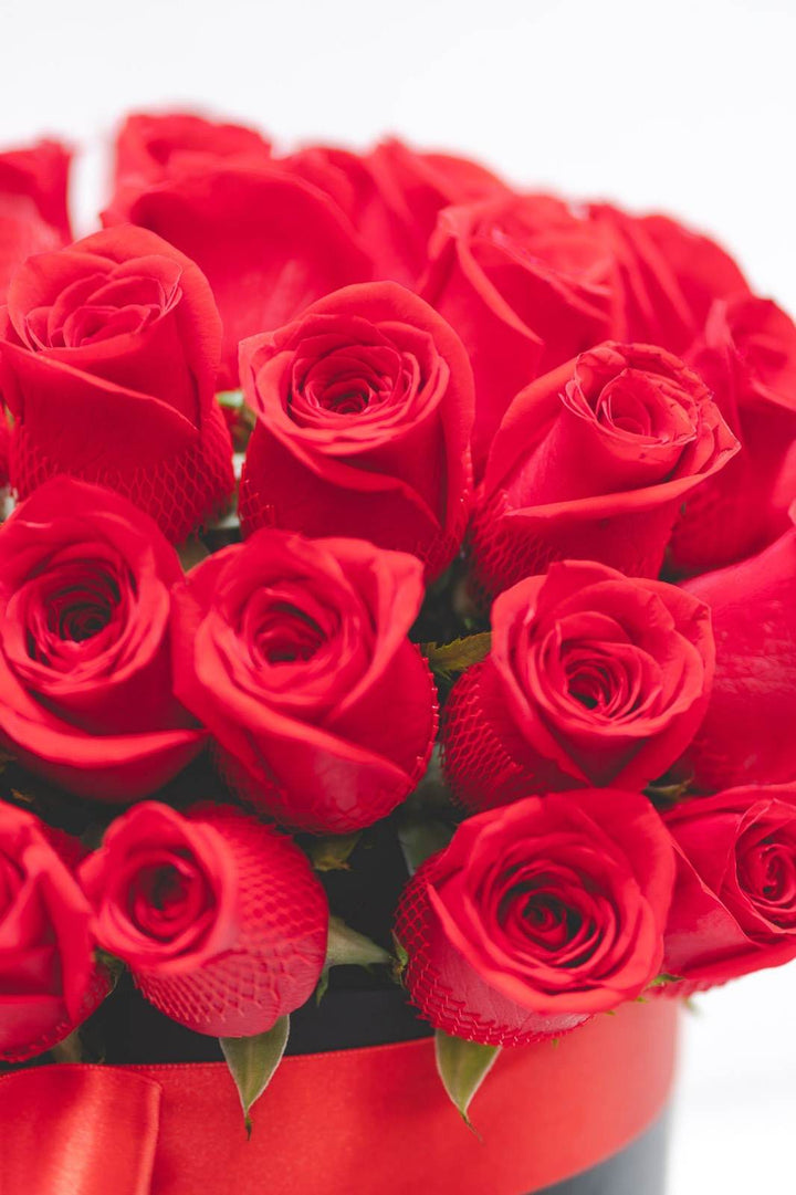 Elegancia Floral - Frodia Flowers