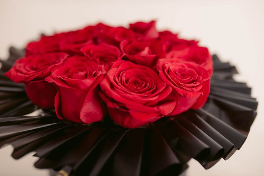 Box Premium Roses - Frodia Flowers