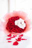 Romance Divino